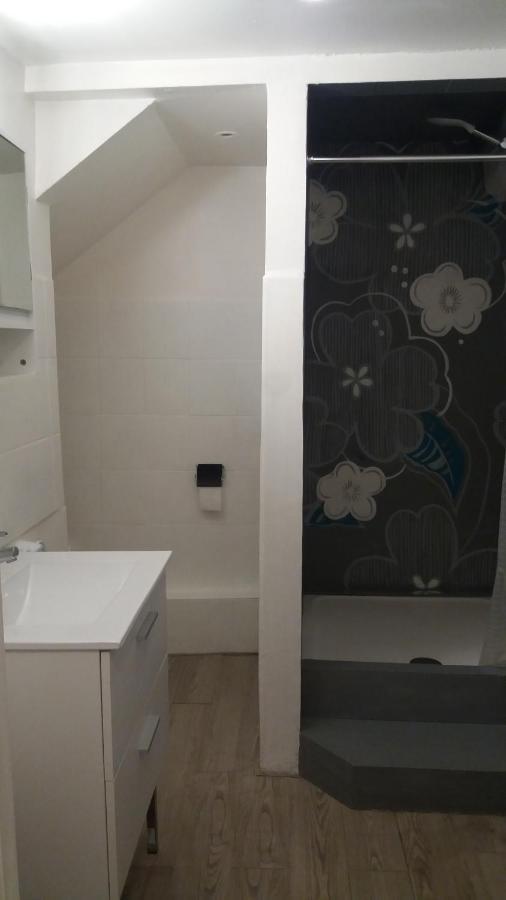 Appartement Meuble Type T2 Metz Ngoại thất bức ảnh